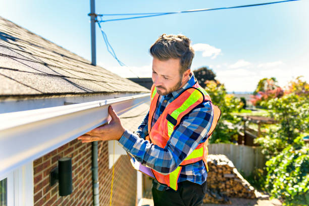 Best Gutter Replacement  in Lavon, TX